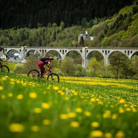 Sommerwind * Willingen (Upland)