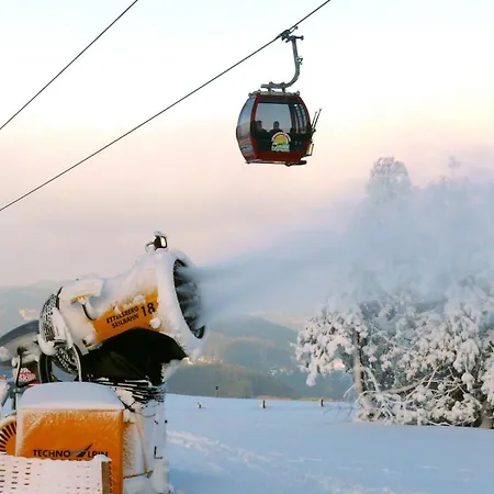 Sommerwind Appartamento Willingen (Upland)