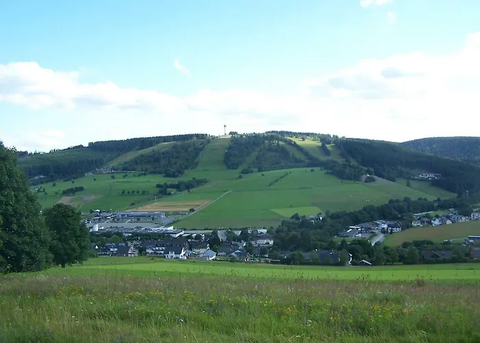 Sommerwind Apartment Willingen (Upland)