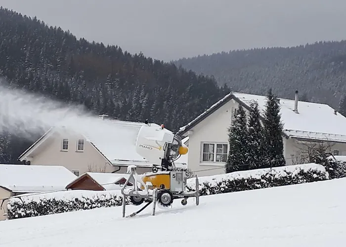 Apartment Sommerwind *